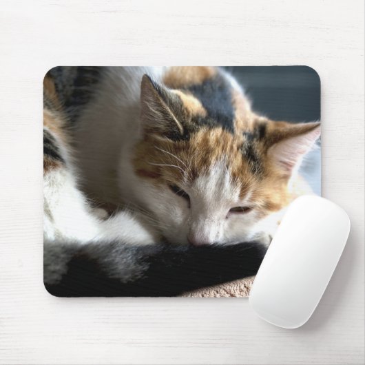 Calico Mousepad (Mit Mouse)