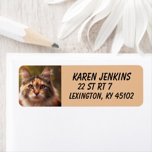 CALICO NIEDLICH CAT CUSTOM Rücksendeadressen-Aufkl (Insitu)