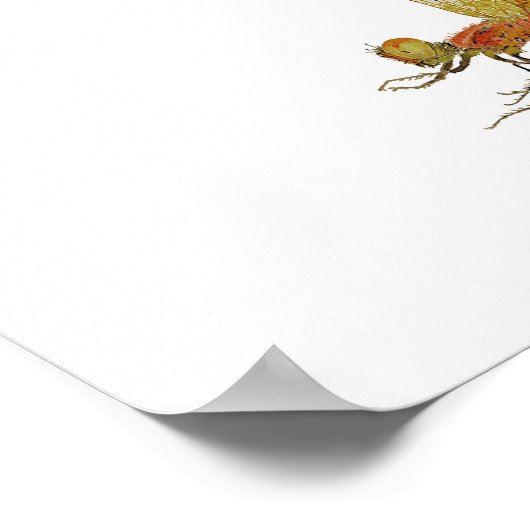 Calico Pennant Dragonfly Art Poster (Ecke)