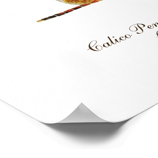 Calico Pennant Dragonfly Art Poster (Ecke)