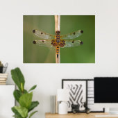 Calico Pennant Poster (Heimbüro)