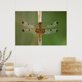 Calico Pennant Poster (Küche)