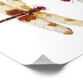 Calico Pennant & Red Saddlebags Drachenfliegen Poster (Ecke)