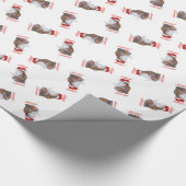 Calico Perser KATZE Geschenkpapier (Ecke)