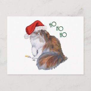 Calico Perserkatze Weihnachten
