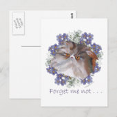 Calico Persian Cat Forget-Me-not Postkarte (Vorne/Hinten)
