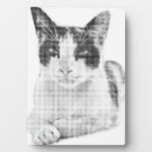 Calico Pop Halftone Fotoplatte (Vorderseite)