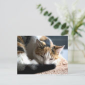 Calico Postkarte (Stehend Vorderseite)