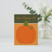 Calico Pumpkin Trio Postcard Postkarte (Stehend Vorderseite)