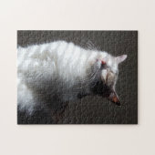 Calico Puzzle (Horizontal)