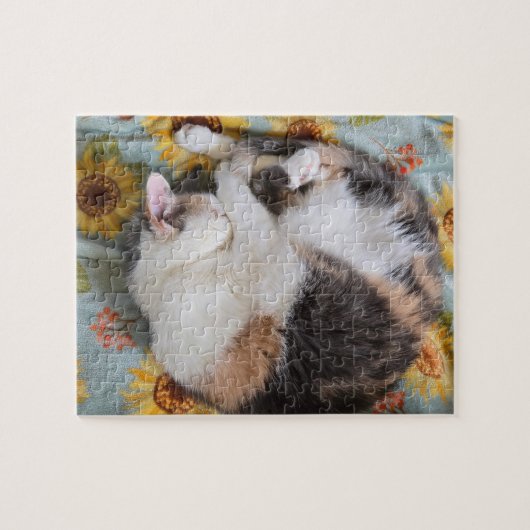 Calico Puzzle (Horizontal)