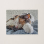 Calico Puzzle (Horizontal)