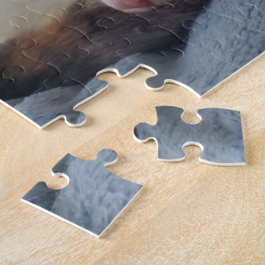 Calico Puzzle (Seite)