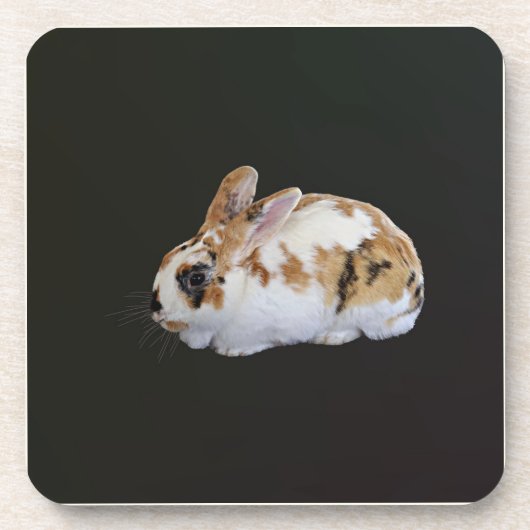 Calico Rabbit Getränkeuntersetzer (Vorderseite)