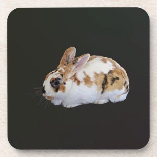 Calico Rabbit Getränkeuntersetzer