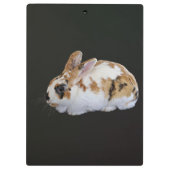 Calico Rabbit Klemmbrett (Rückseite)