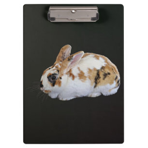 Calico Rabbit Klemmbrett