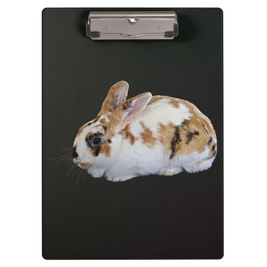 Calico Rabbit Klemmbrett (Vorderseite)