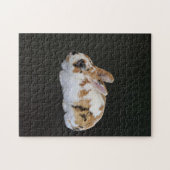Calico Rabbit Puzzle (Horizontal)