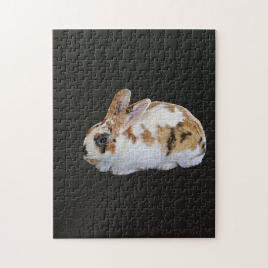 Calico Rabbit Puzzle (Vertikal)