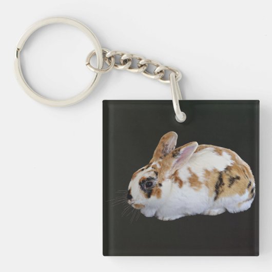 Calico Rabbit Schlüsselanhänger (Vorderseite)