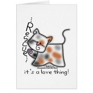 Calico RESCUE...es ist eine Liebe Sache!