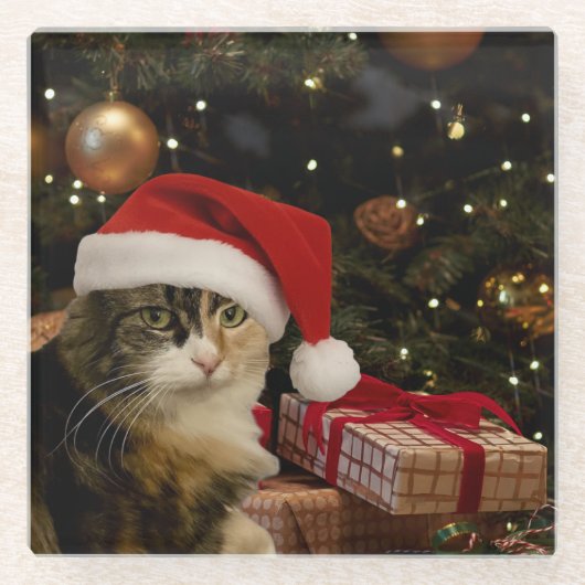 Calico-Santa-Kitty-Glasuntersetzer Glasuntersetzer (Vorderseite)