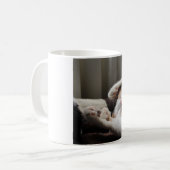 Calico schläft in der Tasse (Vorderseite Links)