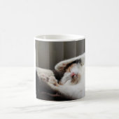 Calico schläft in der Tasse (Mittel)
