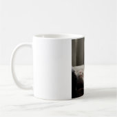 Calico schläft in der Tasse (Links)