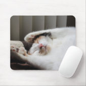 Calico schlief in der Sonnenstraße Mousepad (Mit Mouse)