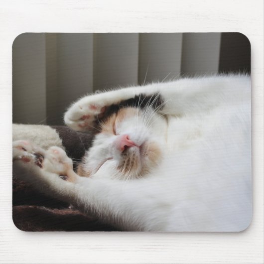 Calico schlief in der Sonnenstraße Mousepad (Vorne)
