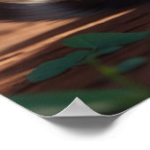 *~* Calico Sweet Kitty AP68 5:4 Feline Kitten Cat Poster (Ecke)