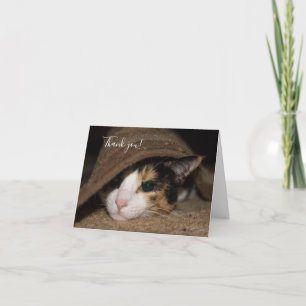 Calico Taco Dankeschön Card Dankeskarte