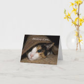 Calico Taco denkt an dich Karte (Gelbe Blume)