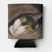 Calico Taco Dosenkühler (Vorderseite)
