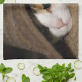 Calico Taco Geschirrtuch (Gefaltet)