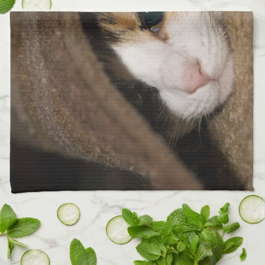 Calico Taco Geschirrtuch (Gefaltet)