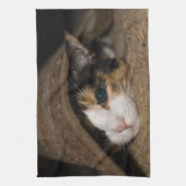 Calico Taco Geschirrtuch (Vertikal)