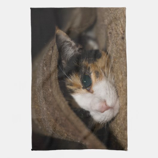 Calico Taco Geschirrtuch (Vertikal)