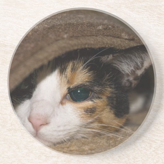 Calico Taco Getränkeuntersetzer (Vorne)