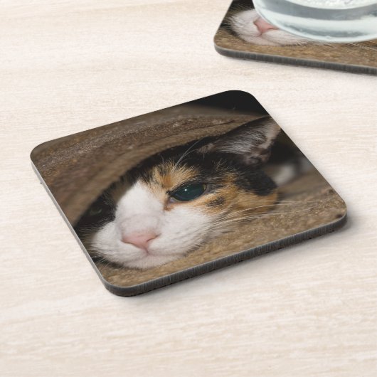 Calico Taco Getränkeuntersetzer (Linke Seite)