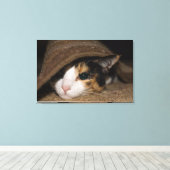 Calico Taco Leinwanddruck (Insitu (Holzboden))