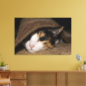 Calico Taco Leinwanddruck (Insitu (Wohnzimmer))