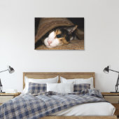 Calico Taco Leinwanddruck (Insitu (Schlafzimmer))