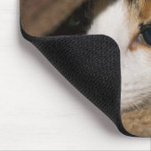 Calico Taco Mousepad (Ecke)