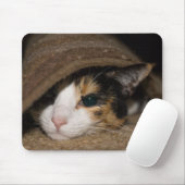 Calico Taco Mousepad (Mit Mouse)
