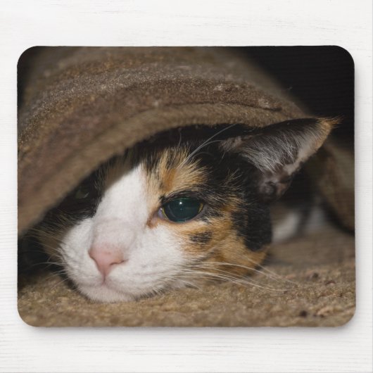 Calico Taco Mousepad (Vorne)