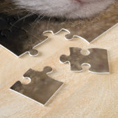 Calico Taco Puzzle (Seite)