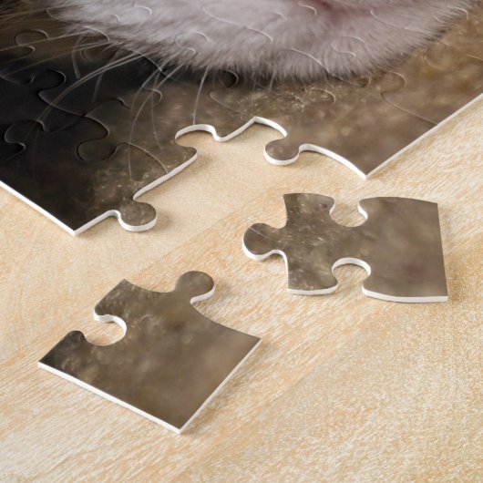 Calico Taco Puzzle (Seite)